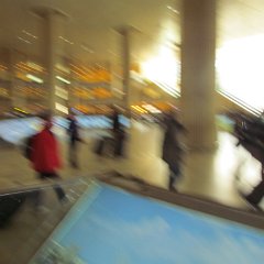 IMG_3249