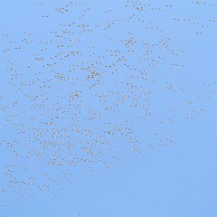 IMG_3281
