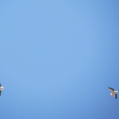 IMG_3282