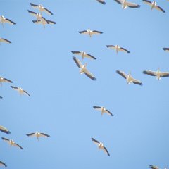 IMG_3283