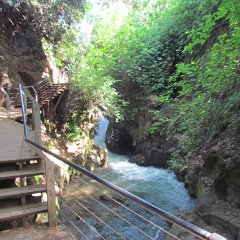 IMG_3295