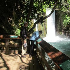 IMG_3309