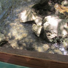 IMG_3310