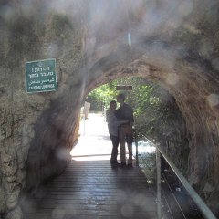 IMG_3317