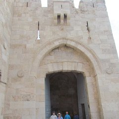 IMG_3512