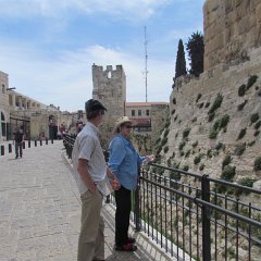 IMG_3514