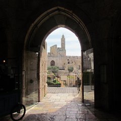 IMG_3529