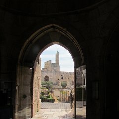 IMG_3530