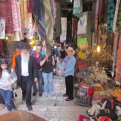 IMG_3531