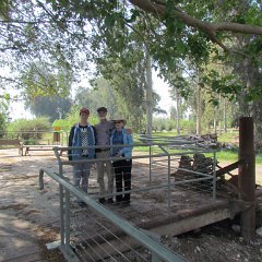HulaSwamp_281_0405