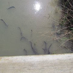 IMG_3390