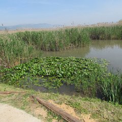 IMG_3391