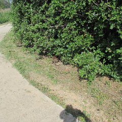 IMG_3392