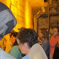 IMG_3558