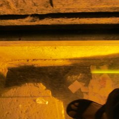 IMG_3561