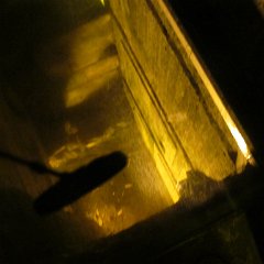 IMG_3564