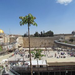 IMG_3573