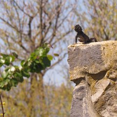 IMG_3241