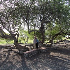 Korazim_Komaran_Massada_281_0406