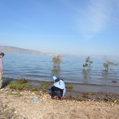 IMG_3439