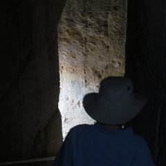 IMG_3338