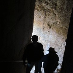 IMG_3339