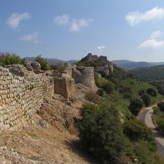 IMG_3351