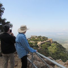 IMG_3356