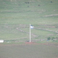 IMG_3371