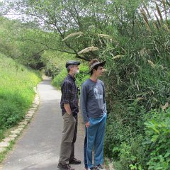 Tanur_284_0412