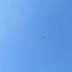 IMG_3233