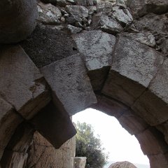 IMG_4215