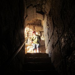 IMG_4219