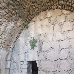IMG_4225