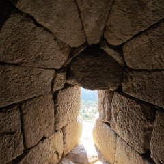 IMG_4231