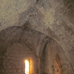 IMG_4232