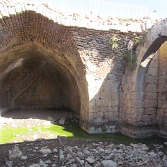 IMG_4233