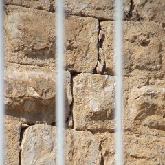 IMG_4235