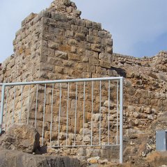IMG_4236