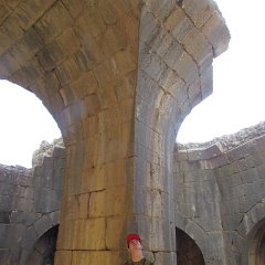 IMG_4239