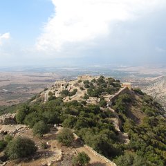 IMG_4242