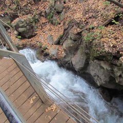 IMG_3119