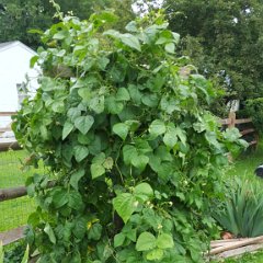20150717_133052