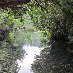 IMG_4964