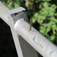 IMG_4970