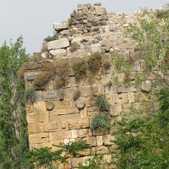 IMG_4983