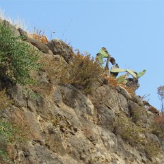 IMG_4984