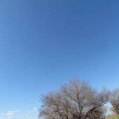 IMG_4465
