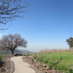 IMG_4466