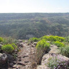 IMG_4480